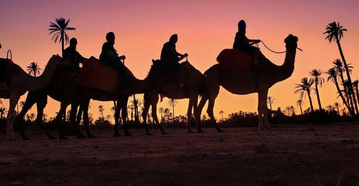 1 marrakech palmeraie sunset camel ride Marrakech Palmeraie: Sunset Camel Ride