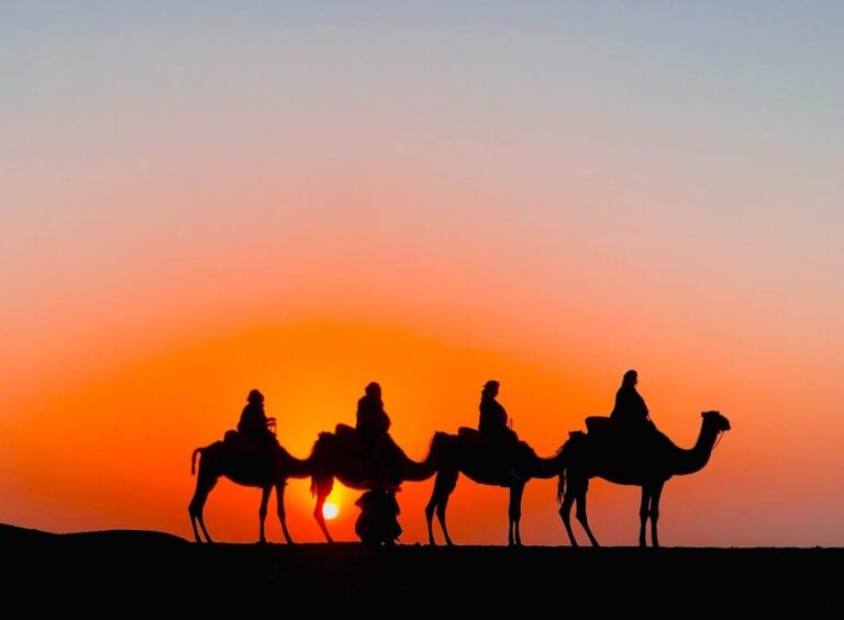 Marrakesh: Agafay Desert Sunset Camle Ride With Diner a Show