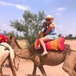 1 marrakesh countryside 1 hour palm grove camel ride Marrakesh Countryside: 1-Hour Palm Grove Camel Ride