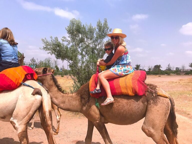 Marrakesh Countryside: 1-Hour Palm Grove Camel Ride