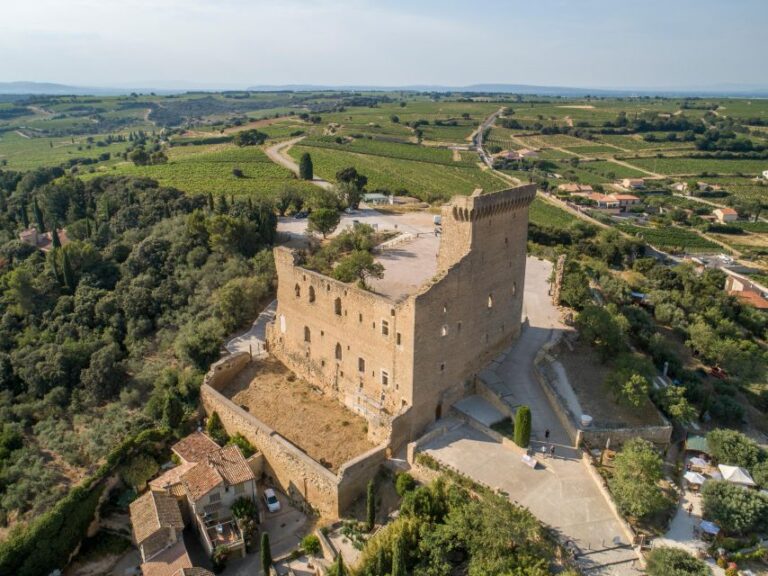 Marseille: Cruise Ship Excursion to Avignon & Pope’s Palace