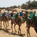 1 maspalomas guided camel ride in the maspalomas sand dunes Maspalomas: Guided Camel Ride in the Maspalomas Sand Dunes
