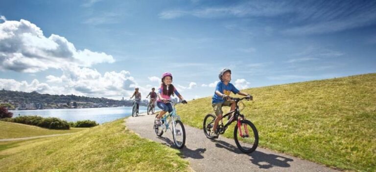 Maspalomas: Rent City Bike Optional Baby Seat or Child Bike