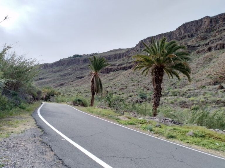 Maspalomas: Southern Coast E-Bike Tour Option Tapas Tasting