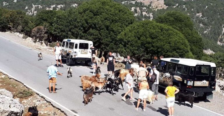 Matala Agiofarago Gorge Safari Tour