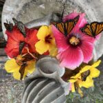 1 maui interactive butterfly farm entrance ticket Maui: Interactive Butterfly Farm Entrance Ticket