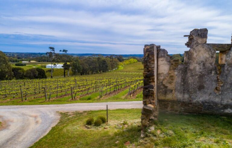 McLaren Vale: E-Bike Rental to Explore the Vineyards