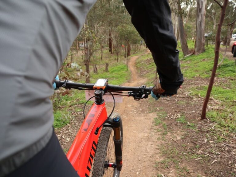 Melbourne: 1-Day Mountain Biking Adventure With Lunch