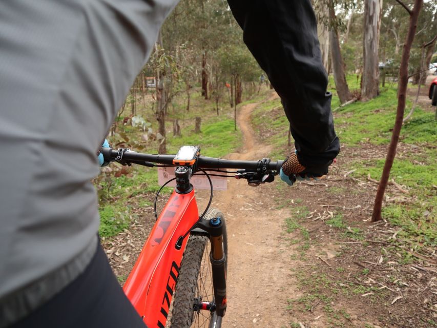 1 melbourne 1 day mountain biking adventure with lunch Melbourne: 1-Day Mountain Biking Adventure With Lunch