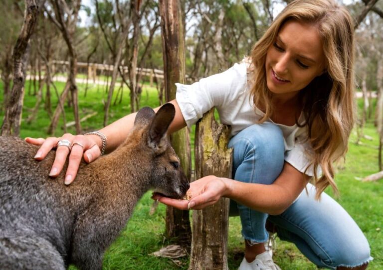 Melbourne: Peninsula Nature Private Day Trip With Dinner