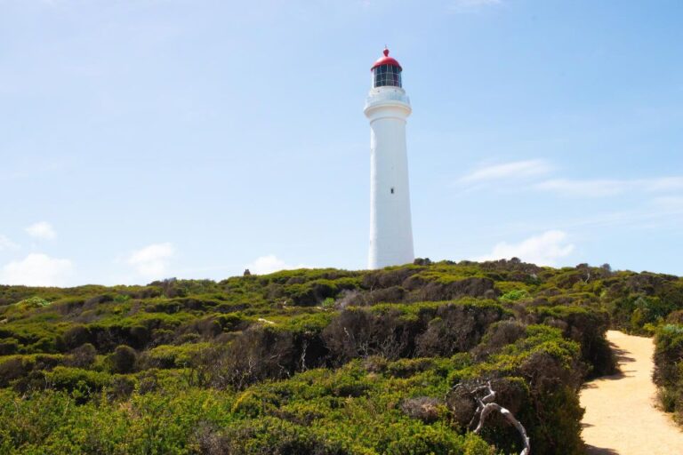 Melbourne: Private Great Ocean Road Day Tour With Lunch!