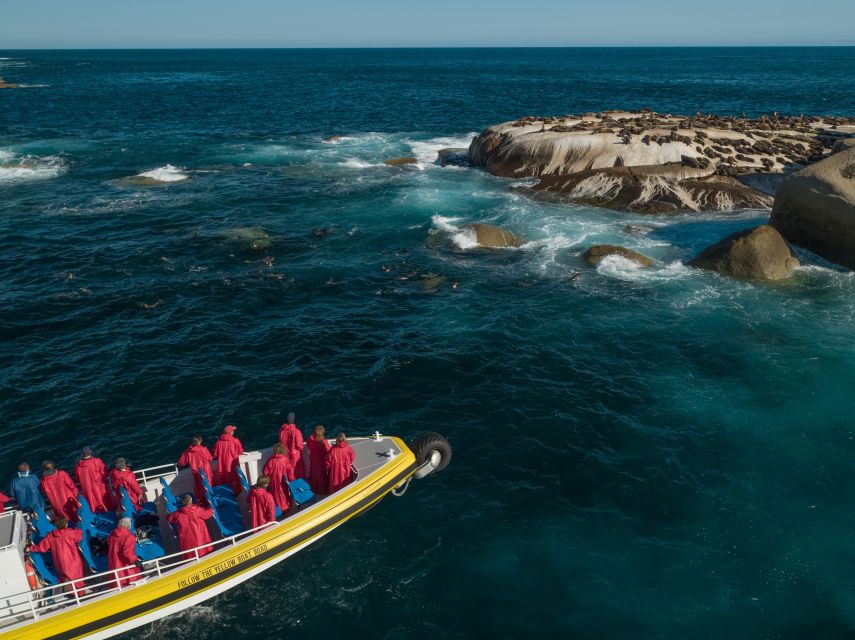 1 melbourne wilsons promontory morning wilderness cruise Melbourne: Wilsons Promontory Morning Wilderness Cruise