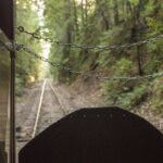 1 mendocino county skunk train wolf tree turn train ride Mendocino County: Skunk Train Wolf Tree Turn Train Ride