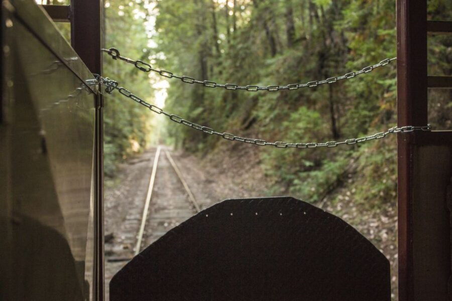 Mendocino County: Skunk Train Wolf Tree Turn Train Ride