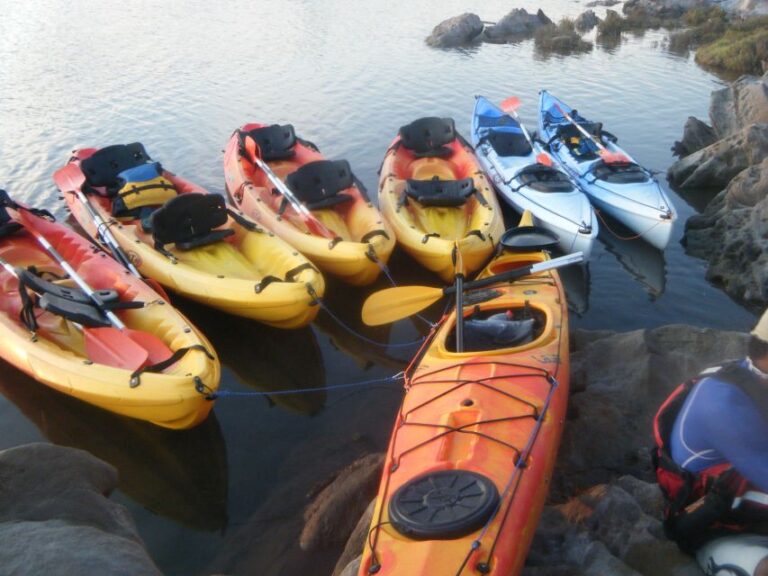 Menorca: Half-Day Kayak Excursion in Fornells