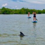 1 merritt island guided kayak or sup tour along banana river Merritt Island: Guided Kayak or SUP Tour Along Banana River