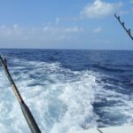 1 miami 4 hour deep sea fishing trip on biscayne bay Miami: 4-Hour Deep Sea Fishing Trip on Biscayne Bay