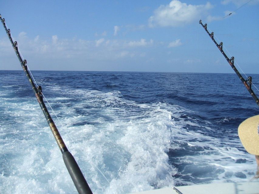 Miami: 4-Hour Deep Sea Fishing Trip on Biscayne Bay