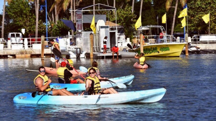 Miami: Biscayne Bay Kayak or Paddleboard Rental