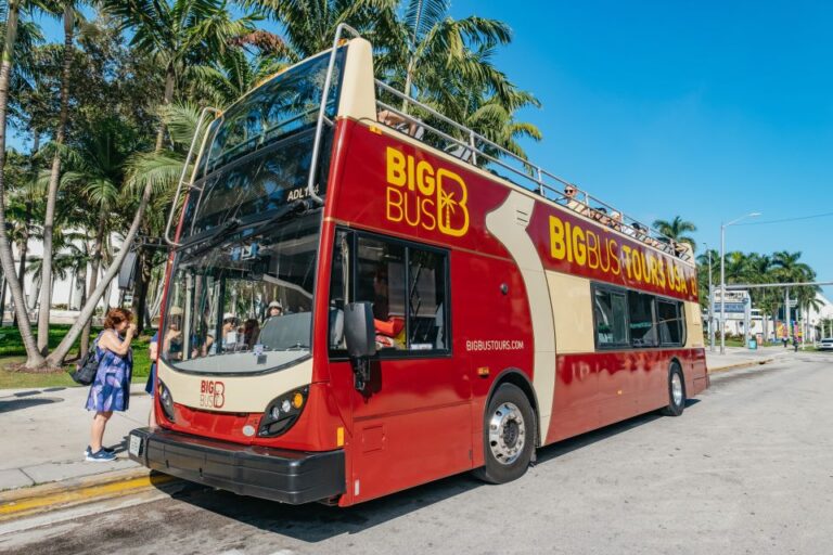 Miami Combo: Open-top Bus Tour & Millionaires Row Bay Cruise