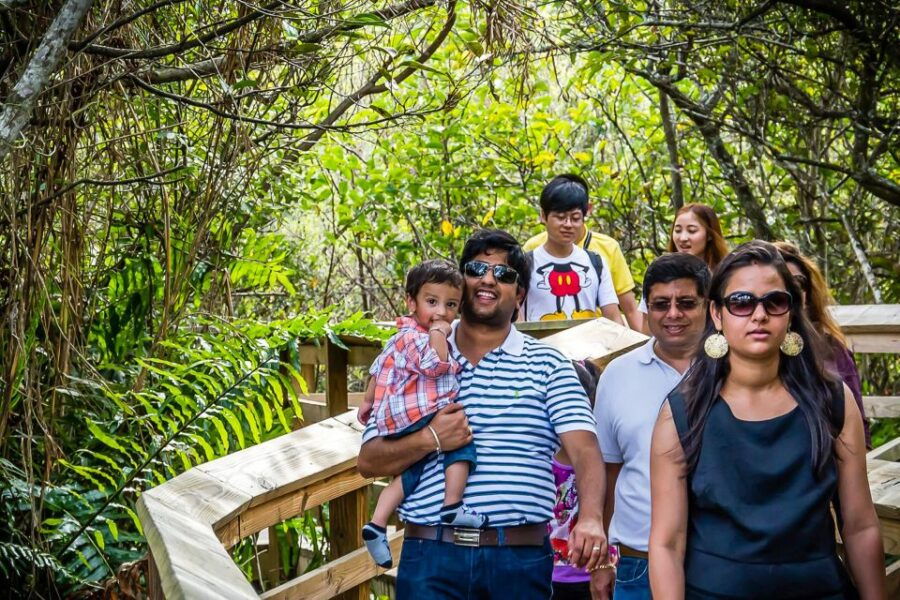 Miami: Everglades Safari Park Airboat Tour and Park Entrance