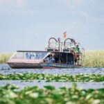 1 miami wild everglades airboat ride and gator encounters Miami: Wild Everglades Airboat Ride and Gator Encounters