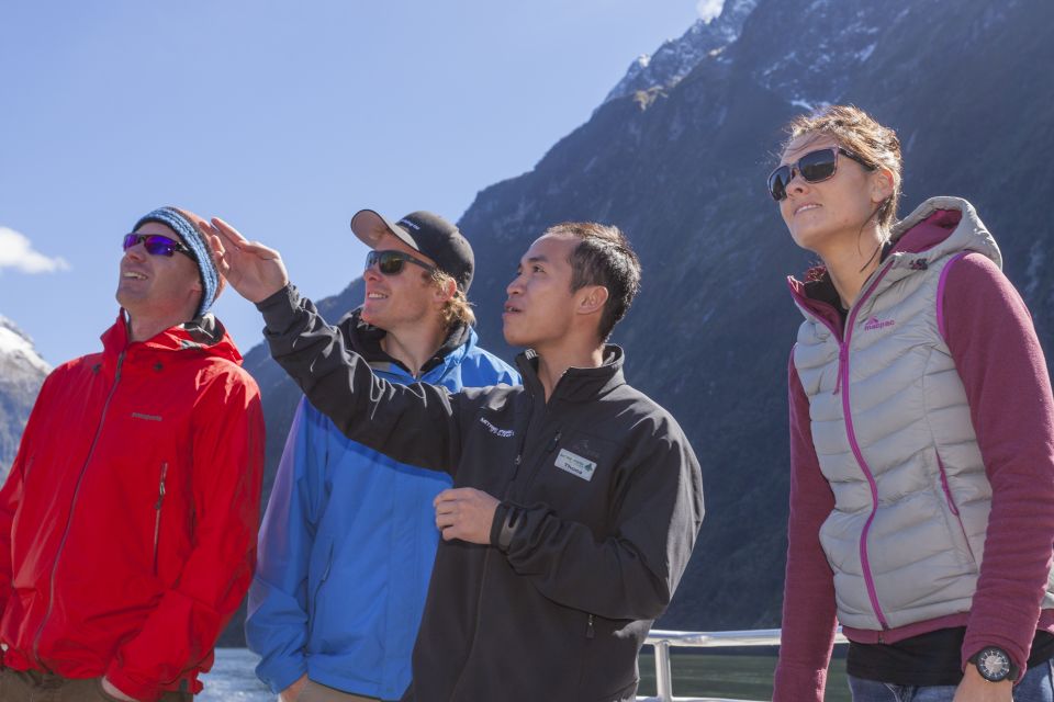 Milford Sound: 2-Hour Small Boat Scenic Cruise