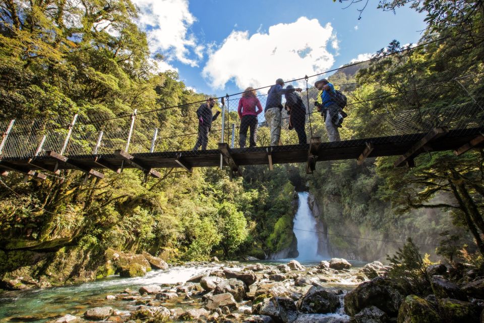 1 milford sound half day guided milford track walk Milford Sound: Half-Day Guided Milford Track Walk