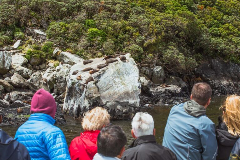 Milford Sound: Nature Cruise on a Modern Catamaran