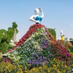 1 miracle garden and butterfly garden combo Miracle Garden and Butterfly Garden Combo