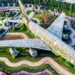 1 miracle garden and global village with hotel transfer Miracle Garden and Global Village With Hotel Transfer