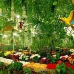 1 miracle garden dubai tickets with transfers option 2 Miracle Garden Dubai Tickets With Transfers Option
