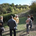 1 montalcino wine tour Montalcino Wine Tour