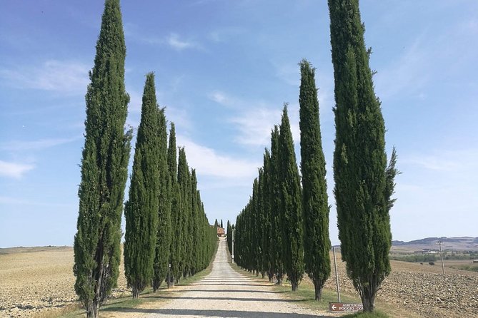 Montepulciano Wine & Pienza Flavors Private Day Tour From Tuscany
