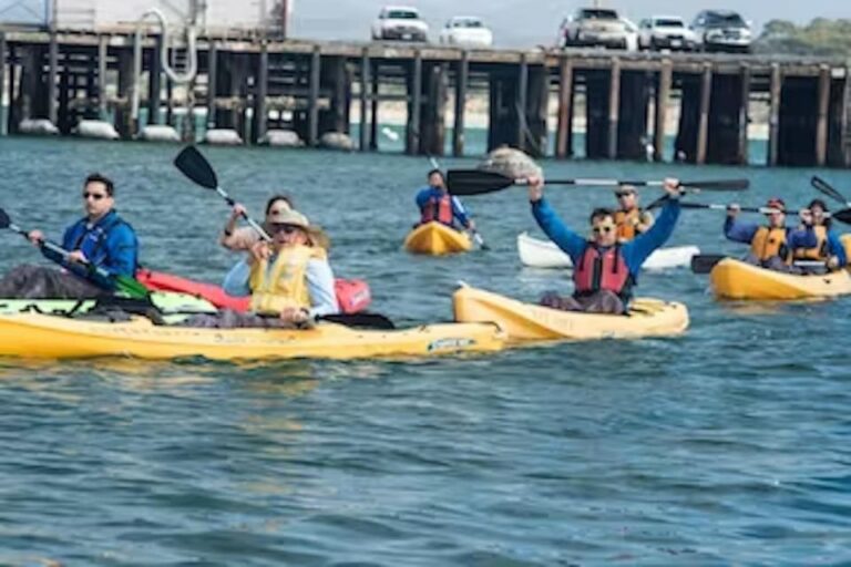 Monterey: Cannery Row Kayak Tour