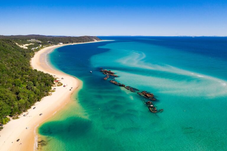 Moreton Island: Dolphin and Tangalooma Wrecks Day Cruise