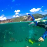 1 moreton island tangalooma snorkeling tour dolphin feeding Moreton Island: Tangalooma Snorkeling Tour & Dolphin Feeding