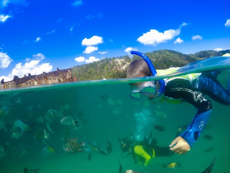 Moreton Island: Tangalooma Snorkeling Tour & Dolphin Feeding