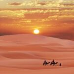 1 morning abu dhabi desert dune bashing and camel ride Morning Abu Dhabi Desert Dune Bashing and Camel Ride