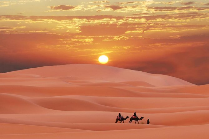 Morning Abu Dhabi Desert Dune Bashing and Camel Ride