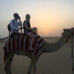 1 morning camel trekking dubai tours for 2 to 14 people Morning Camel Trekking Dubai Tours for 2 to 14 People