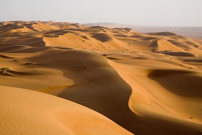 Morning Dubai Desert Safari With Dune Bashing & Sandboarding & Camel Riding