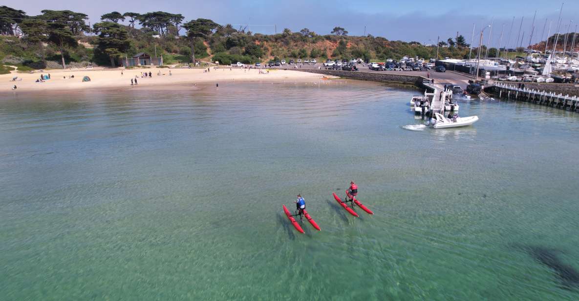 Mornington: Port Phillip Bay Water Bike Tour