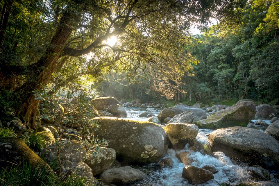 1 mossman gorge day tour with river drift Mossman Gorge: Day Tour With River Drift Experience