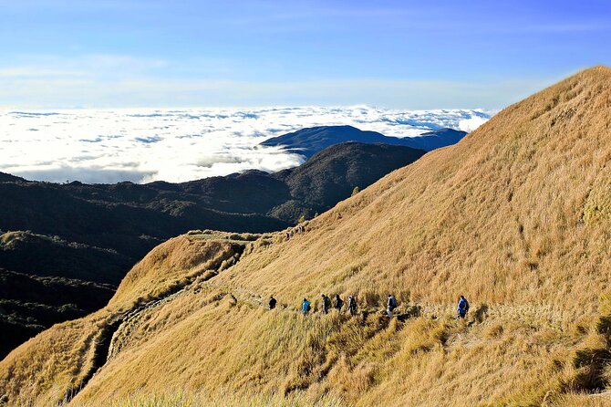 Mt Pulag Private Tour Night Travel From Manila ( Max 6 Travelers Only)