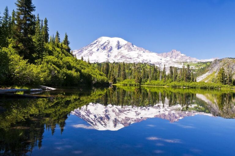Mt Rainier, Seattle, & Olympic NP Self-Guided Audio Tours