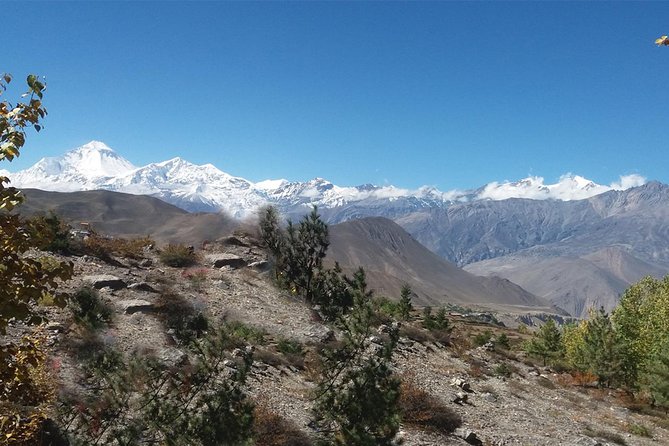 Muktinath Helicopter Tour: Discover the Sacred Beauty of the Himalayas