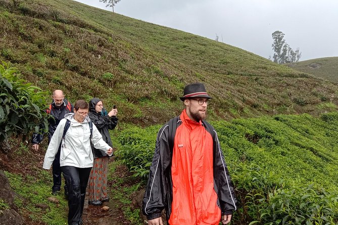 Munnar Private Trekking Tour With Breakfast and Snacks