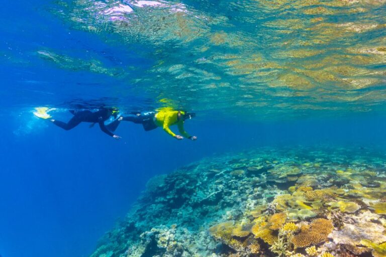 Museum Of Underwater Art & Great Barrier Reef Day Trip