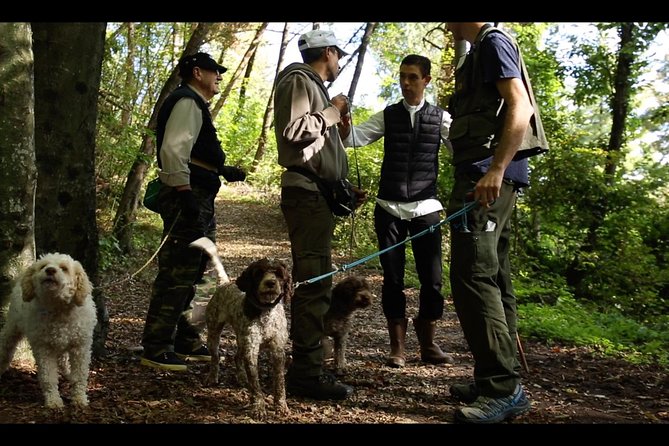 Mushroom And Truffle Hunting